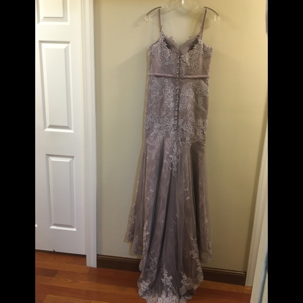 Hebeos Sheath Spaghetti Lace Tulle Prom Gown - Picture 4 of 16